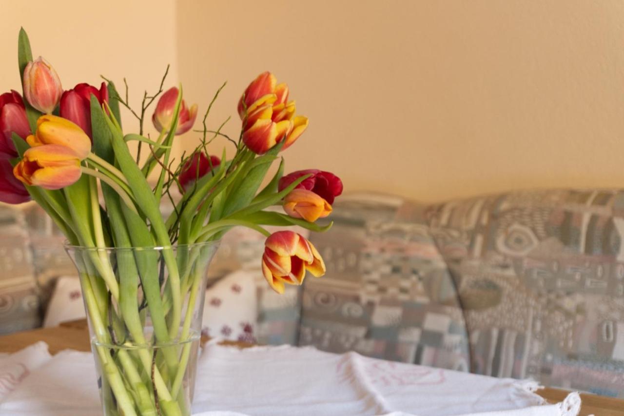 Pension Trillerhof รัมเซา อัม ดาคชไตน์ ภายนอก รูปภาพ